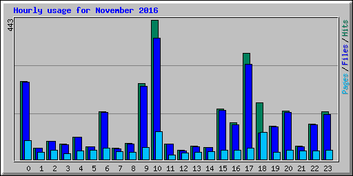 Hourly usage for November 2016