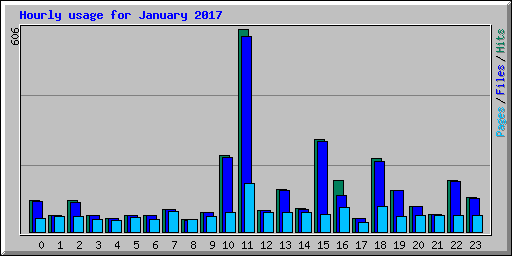 Hourly usage for January 2017